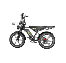 KOOLUX X9 electric bike (20")