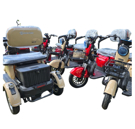Electric tricycle wheelchair RIDE-E M20R PRO