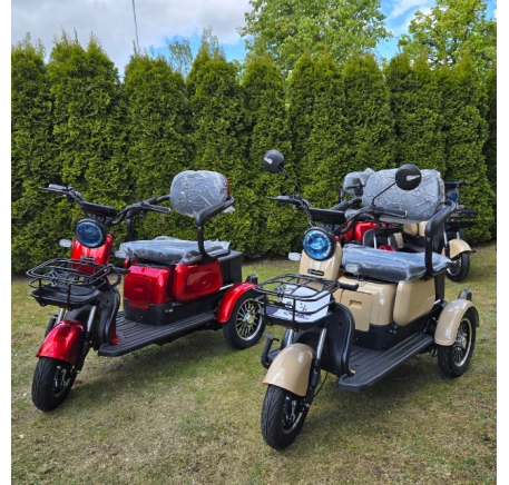 Electric tricycle wheelchair RIDE-E M20R PRO