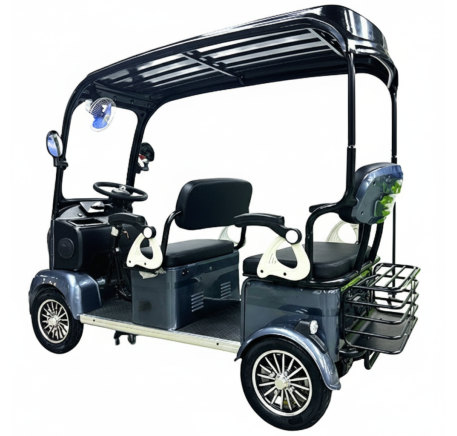 Electric four-wheel vehicle with solar batteries PANDA (16')