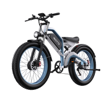 Duotts N26 electric bike (26")
