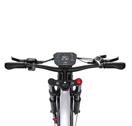 Duotts N26 electric bike (26")