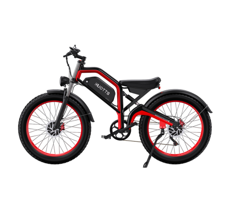 Duotts N26 electric bike (26")