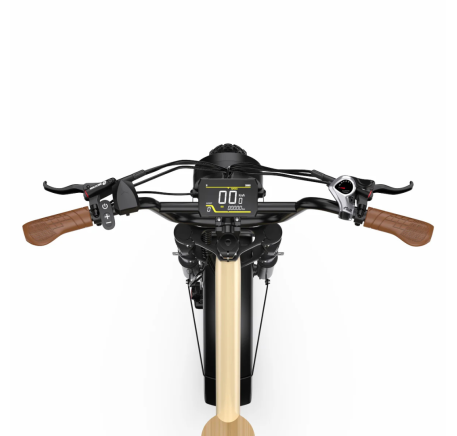 ONESPORT W77 electric bike (20")
