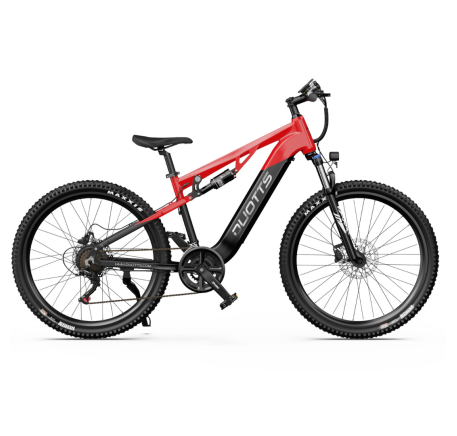 Duotts E29 electric bike (27.5")