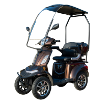 HS650 electric four-wheeler...