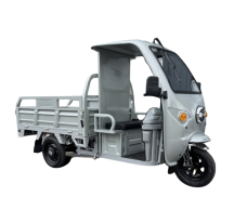 Electric three-wheel cargo...