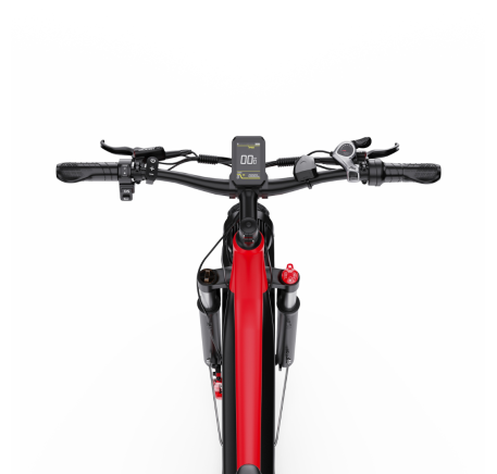 DUOTTS F26 Lite electric bike (26")