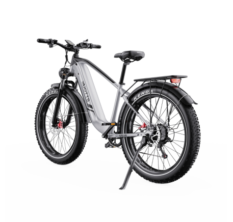 DUOTTS F26 Lite electric bike (26")