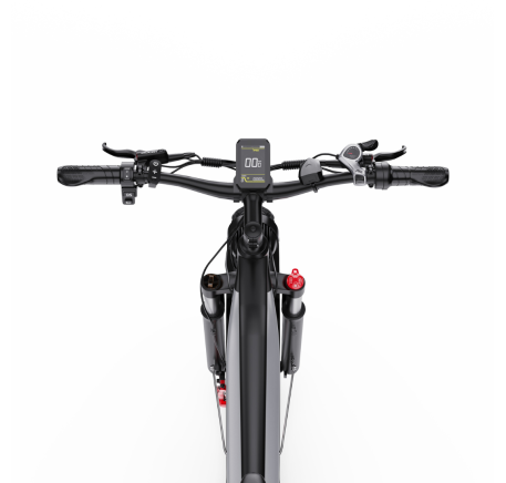 DUOTTS F26 Lite electric bike (26")