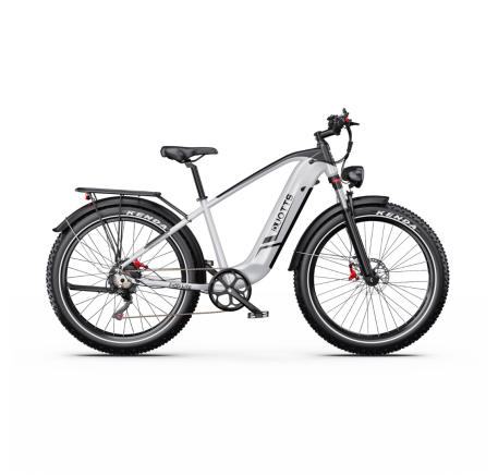 DUOTTS F26 Lite electric bike (26")