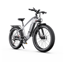 DUOTTS F26 Lite electric...