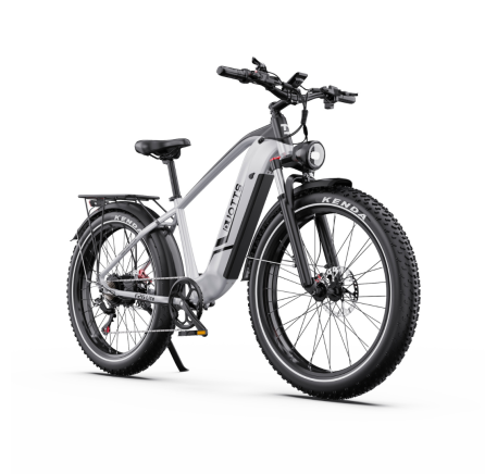 DUOTTS F26 Lite electric bike (26")