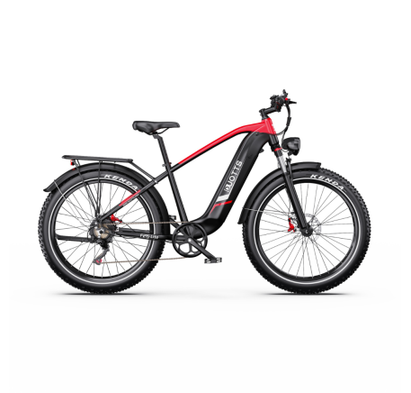 DUOTTS F26 Lite electric bike (26")