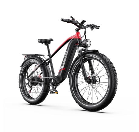 DUOTTS F26 Lite electric bike (26")