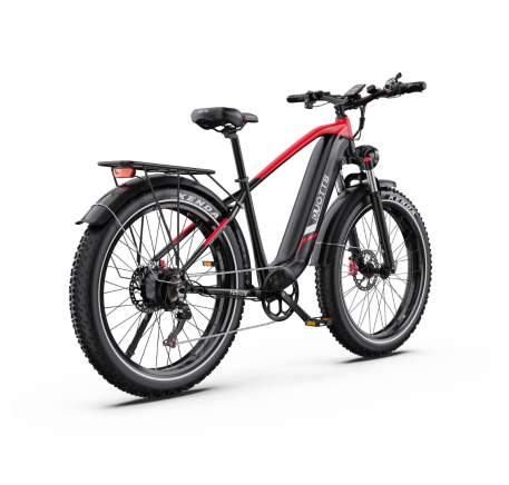 DUOTTS F26 Lite electric bike (26")