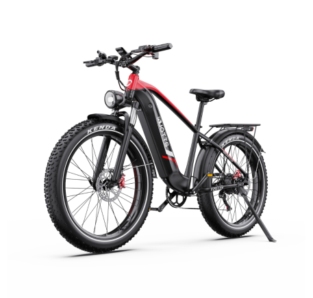 DUOTTS F26 Lite electric bike (26")