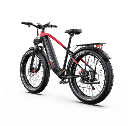 DUOTTS F26 Lite electric bike (26")