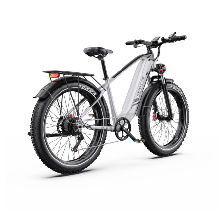 DUOTTS F26 Lite electric bike (26")