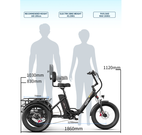 OneSport OT30 Pro CARGO electric bike (20")
