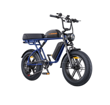 ENGWE M1 electric bike (20")