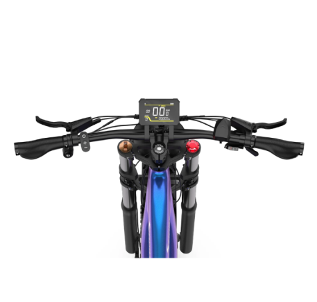 DUOTTS E26 electric bike (26")