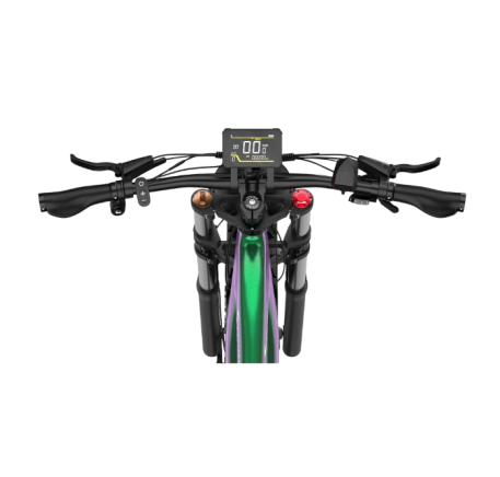 DUOTTS E26 electric bike (26")