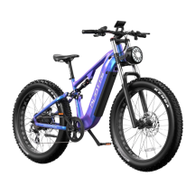 DUOTTS E26 electric bike (26")