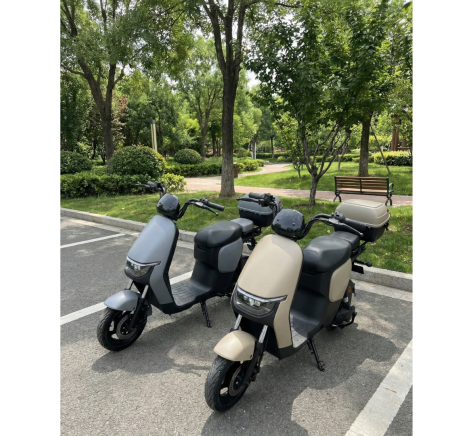 Electric scooter RIDE-E EVIO