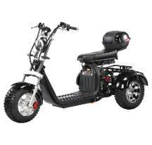 Electric scooter RIDE-E CP-3.2