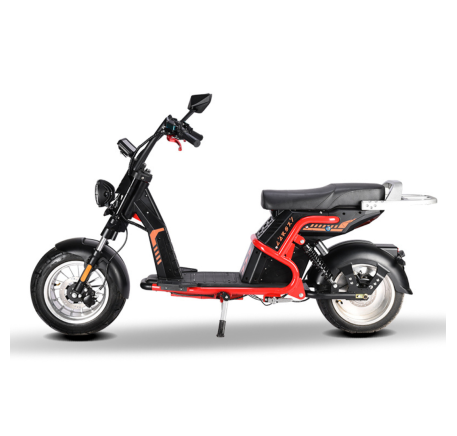 Electric scooter RIDE-E CP-9 (EEC)