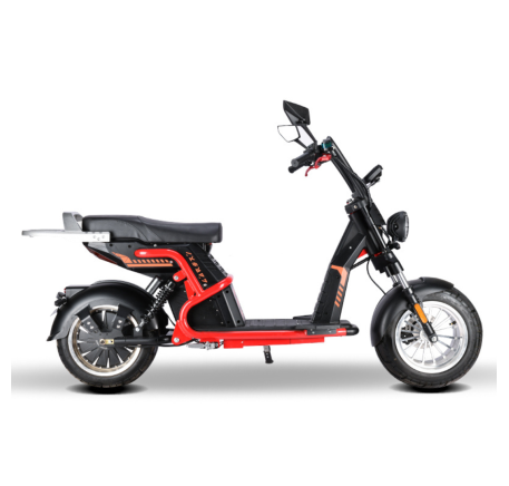 Electric scooter RIDE-E CP-9 (EEC)