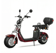 Electric scooter RIDE-E CP-1.6