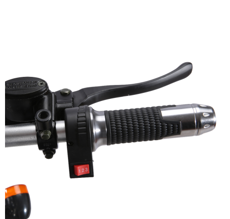 Electric scooter RIDE-E CP-1.6