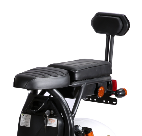 Electric scooter RIDE-E CP-1.6