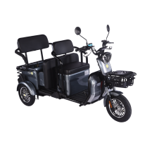 Electric tricycle scooter...