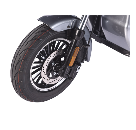 Electric tricycle scooter LARGO (EEC)