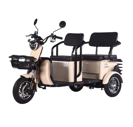 Electric tricycle scooter LARGO (EEC)