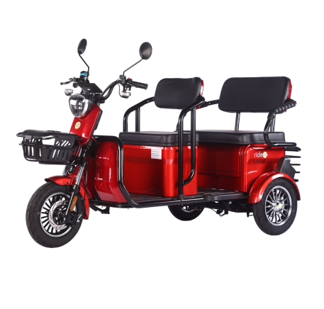 Electric tricycle scooter LARGO (EEC)
