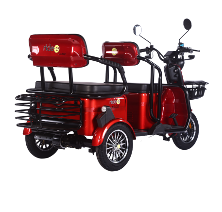 Electric tricycle scooter LARGO (EEC)