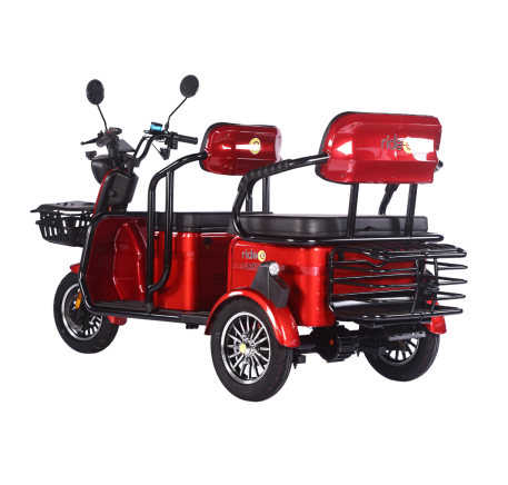 Electric tricycle scooter LARGO (EEC)