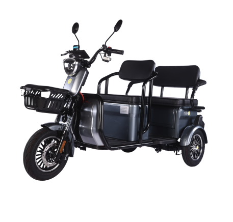 Electric tricycle scooter LARGO (EEC)