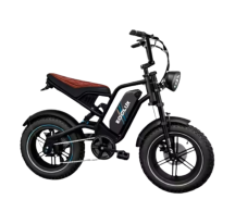 KOOLUX X9  MINI electric...