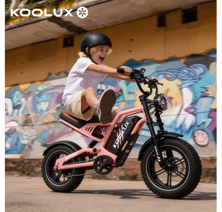KOOLUX X9  MINI electric bike (16")