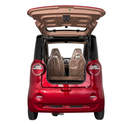 Electric micorcar RIDE-E DORA (EEC)