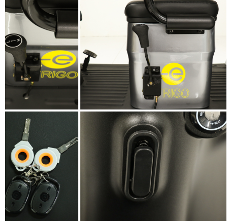 Electric tricycle scooter TRIGO (EEC)