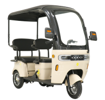 Electric tricycle scooter...