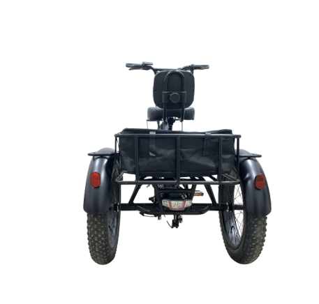 RIDE-E X13 Electric Tricycle (20")