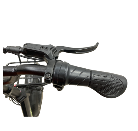 RIDE-E X13 Electric Tricycle (20")