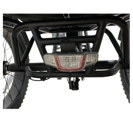 RIDE-E X13 Electric Tricycle (20")